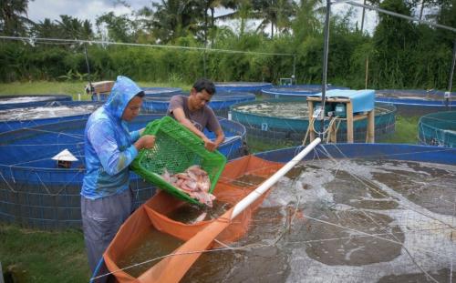 BRI (BBRI) Komitmen Sukseskan Program Makan Bergizi Gratis