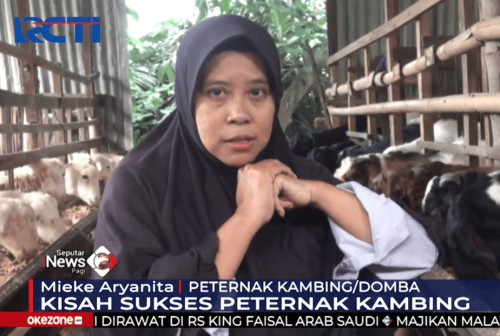 Kisah Sukses Mantan Penjual Koran Jadi Peternak Omzet Tembus Ratusan Juta