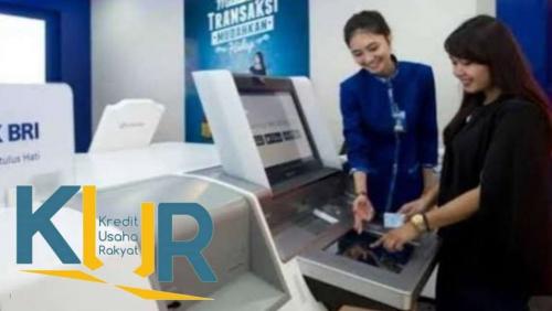Berapa Persen Bunga KUR BRI 2025? Simak Syarat dan Ketentuan Terbarunya    