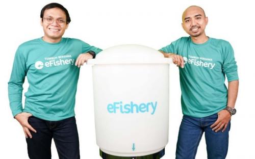 SoftBank hingga Temasek Rugi Besar dari eFishery