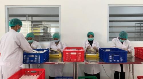 Ekosistem Diperkuat, UMKM Didorong Tembus Pasar Global