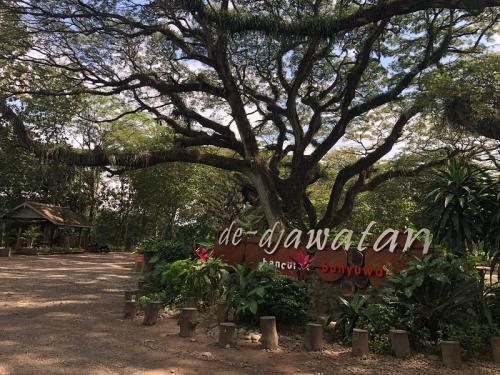 Berikut Pilihan Wisata Menarik di Banyuwangi yang Lagi Hits