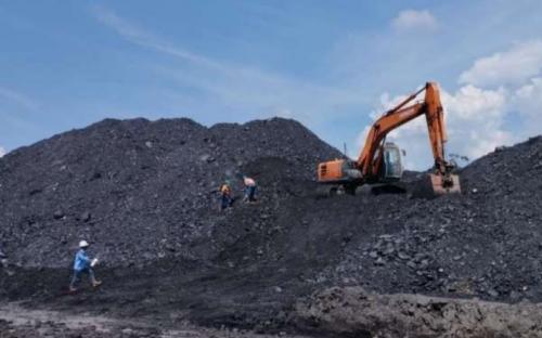5 Petinggi Petrindo Kompak Borong Saham CUAN meski Gagal Masuk MSCI