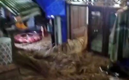 Banjir Terjang Cisarua Puncak Bogor, 423 Warga Terdampak