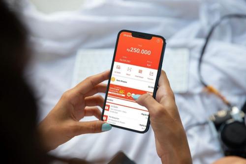 Bisa Dilakukan dalam 5 Menit, Cek 3 Cara Melihat Nomor ShopeePay Milik Sendiri