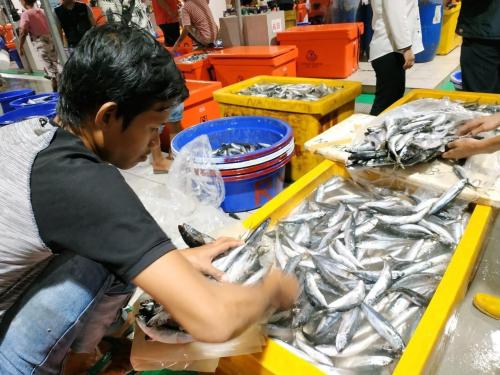 Konsumsi Ikan Diprediksi Melonjak Saat Lebaran 2025, Bagaimana Stok dan Harganya?