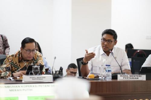 Wamentan Pastikan Penghapusan Kuota Impor Tak Mengancam Produksi Dalam Negeri