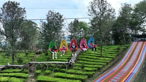 Intip Empat Destinasi Wisata di Puncak Bogor untuk Liburan Akhir Pekan
