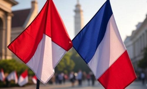 Kemitraan Indonesia-Prancis Diharapkan Bisa Dorong Penyelesaian IEU CEPA