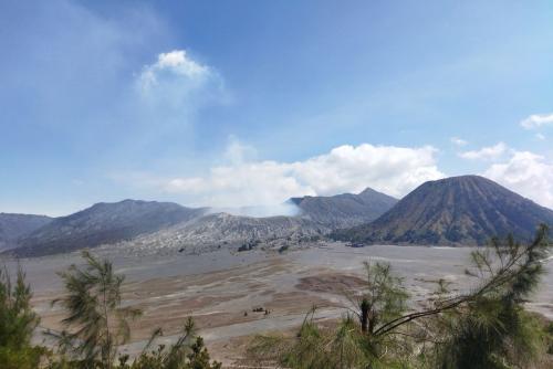 7.734 Wisatawan Kunjungi Gunung Bromo di Libur Iduladha, Terjadi Kemacetan Parah