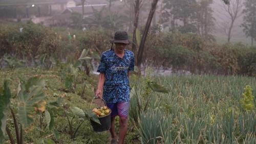 Kisah Petani Muda Boyolali yang Penjualannya Meningkat Berkat Program MBG