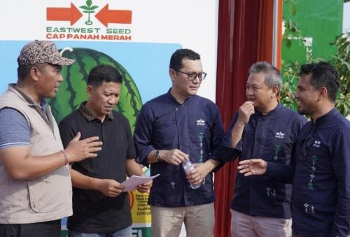 Sektor Hortikultura Masih Menjanjikan, Lampung Jadi Sentra Produksi Semangka
