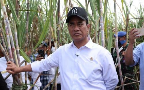 Wujudkan Swasembada Gula, Mentan Siapkan Rp1,7 Triliun untuk Peremajaan Tebu Rakyat