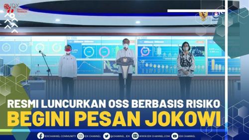 Resmi Luncurkan OSS Berbasis Risiko, Begini Pesan Jokowi