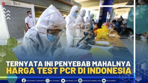 Ternyata Ini Penyebab Mahalnya Harga Test PCR Di Indonesia