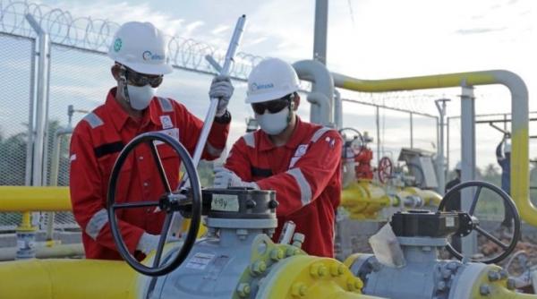 Elnusa (ELSA) Geser Alokasi Capex 2026 ke Bisnis Distribusi Energi, Ini Alasannya