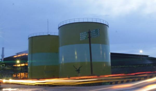 MKTR Siapkan Dividen Minimalis Rp1,86 per Saham