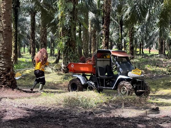 Astra Agro Lestari (AALI) Panen Laba Rp1,10 Triliun hingga Akhir Juni 2026