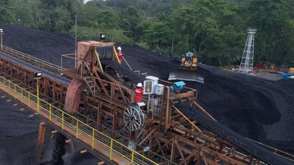 MCOL Keluarkan Biaya Operasional Eksplorasi USD32.022 di Kuartal II-2026
