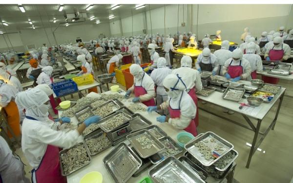 Pascakebakaran Pabrik, DPUM Ungkap Progres Pemulihan