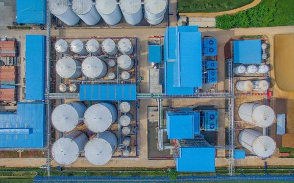 PBSA Bagikan Dividen Rp60 per Saham, Simak Jadwal Pencairannya