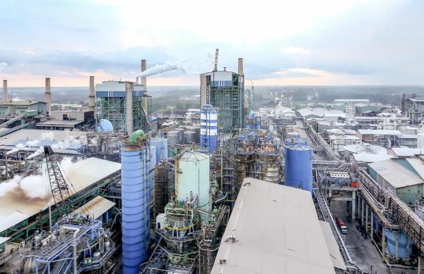 Menakar Prospek Saham Pulp dan Kertas di Tengah Ekspansi Kapasitas