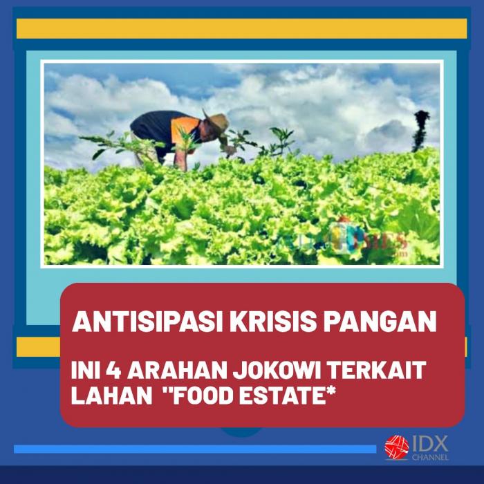 Ini 4 Arahan Jokowi soal Pembahasan Lahan Food Estate. (Foto: Tim Digital Marketing IDX Channel)