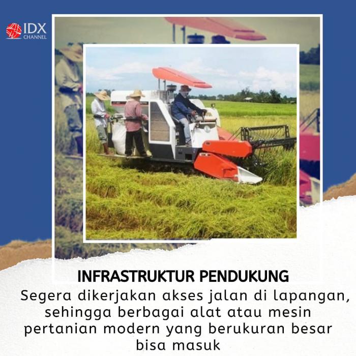 Ini 4 Arahan Jokowi soal Pembahasan Lahan Food Estate. (Foto: Tim Digital Marketing IDX Channel)