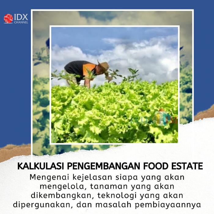 Ini 4 Arahan Jokowi soal Pembahasan Lahan Food Estate. (Foto: Tim Digital Marketing IDX Channel)