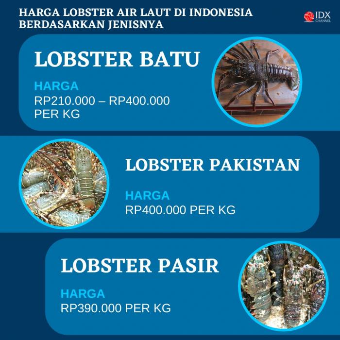 Edhy Prabowo Ditangkap KPK, Cek Jenis dan Harga Lobster di RI. (Foto: Tim Digital Marketing IDX Channel)
