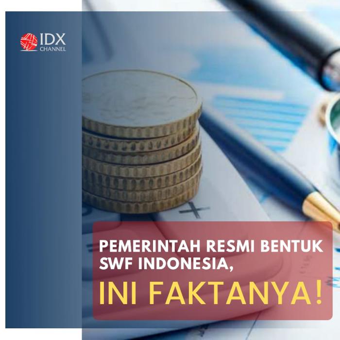 Pemerintah Resmi Bentuk Sovereign Wealth Fund SWF , Yuk Cek Faktanya!