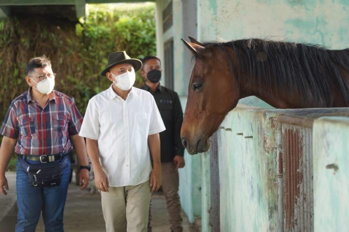 MenkopUKM Teten Masduki mengunjungi peternakan kuda pacu Gekbrong Stable di desa Titisan, Kecamatan Sukalarang Kabupaten Sukabumi. (Foto: Dokumen Kemenkop UKM)