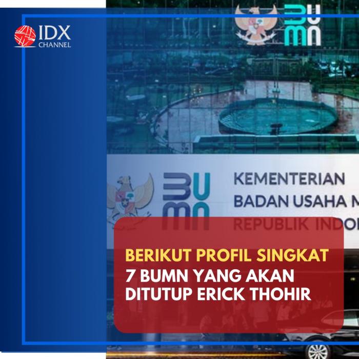 Ini Profil Singkat 7 BUMN yang akan Ditutup Erick Thohir. (Foto: Tim Digital Marketing IDX Channel)