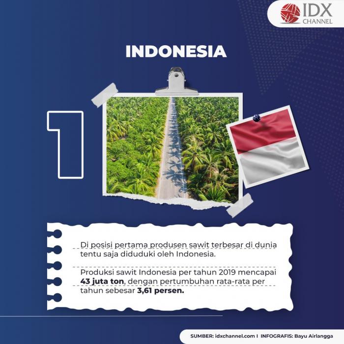 Jadi Bahan Utama Rumah Tangga, Intip 5 Negara Produsen CPO Terbesar di Dunia. (Foto: Tim Digital Marketing IDX Channel)