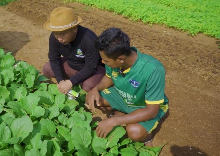 Mantapkan Hati Jadi Petani, Narji Pilih Investasi Sawah di Pekalongan (Foto: Tangkapan Layar Youtube/Narji)