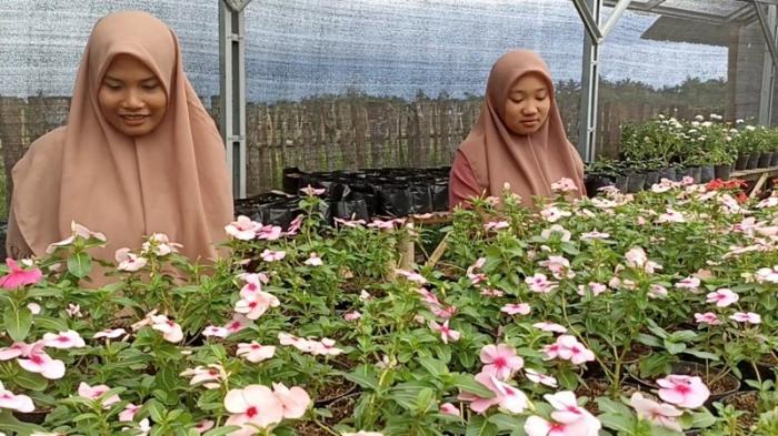 Hobi Merawat Bunga, Kini Faisal Raup Cuan dari Bisnis Tanaman Hias Impor. (Foto: MNC Media)