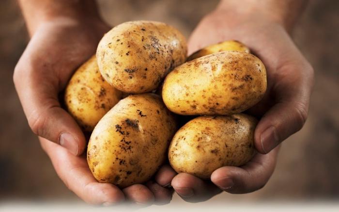 Jaga Ketahanan Pangan, Bapanas Dorong BUMN Jadi Stanby Buyer Produk Petani. Foto: MNC Media.