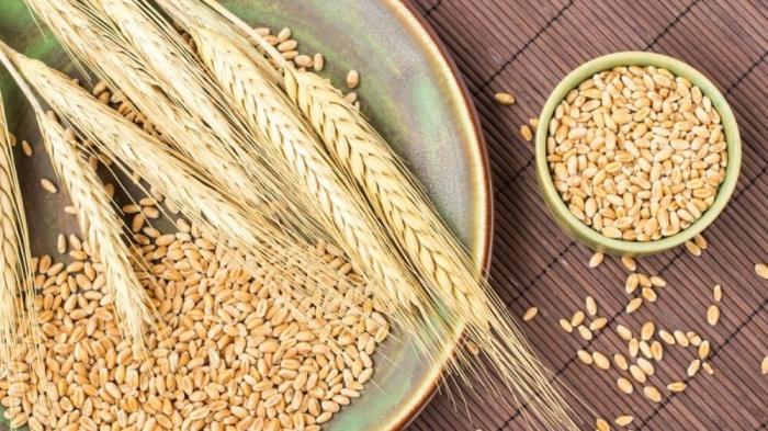 FAO: Harga Pangan Global Naik 0,9 Persen pada Mei 2024. (Foto: MNC Media)