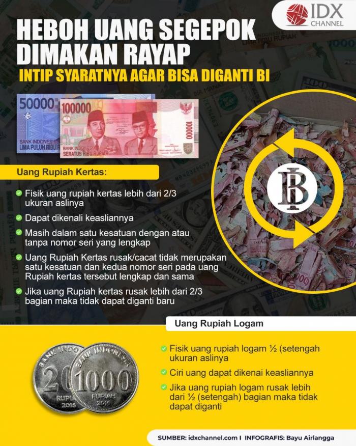 Heboh Uang Segepok Dimakan Rayap, Intip Syaratnya agar Bisa Diganti BI. (Foto: Tim Digital Marketing IDX Channel).