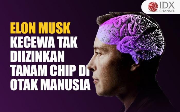 Elon Musk Kecewa Tak Diizinkan Tanam Chip di Otak Manusia. (Foto : Tim Digital Marketing IDX Channel)
