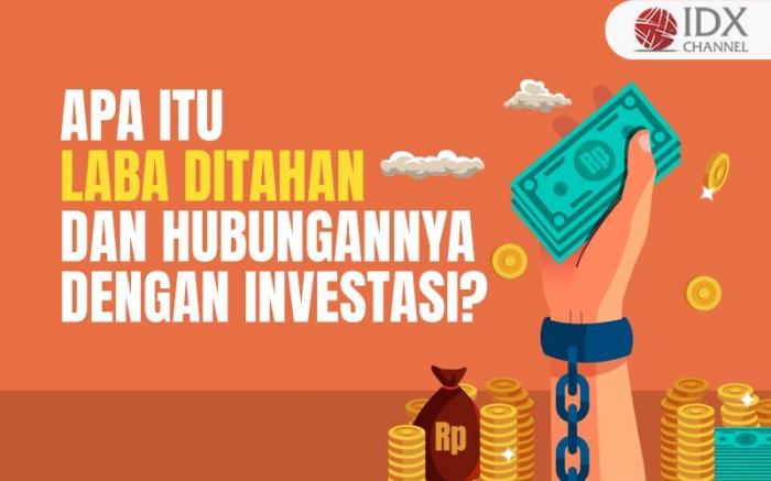 Apa Itu Laba Ditahan dan Hubungannya dengan Investasi? (Foto : Tim Digital Marketing IDX Channel)