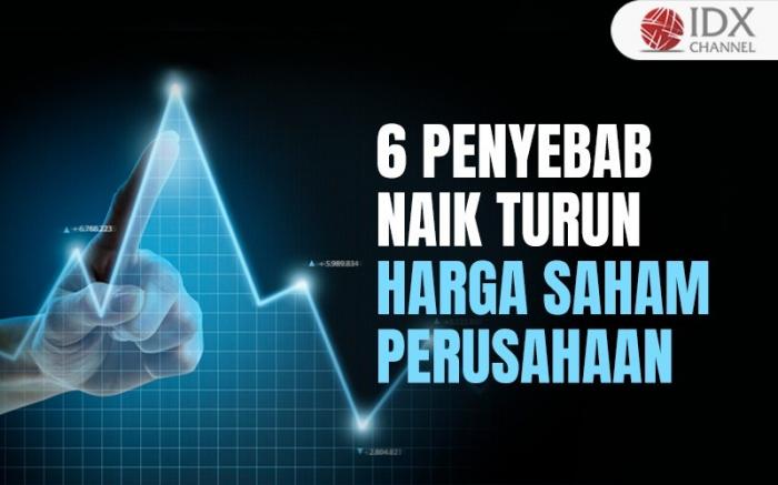 Simak! Ini Penyebab Naik Turun Harga Saham yang Tidak Anda Sadari (Foto : Tim Digital Marketing IDX Channel)