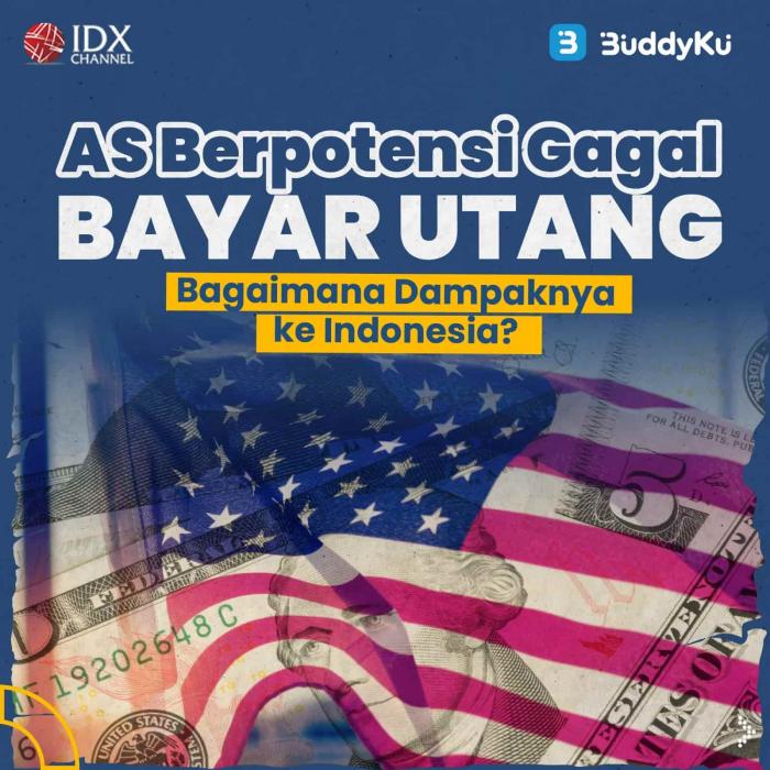 AS Berpotensi Gagal Bayar Utang, Bagaimana Dampaknya Ke Indonesia?