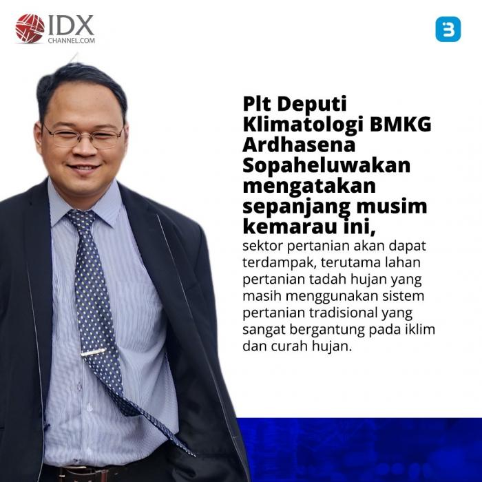 Imbas El Nino, BMKG Ingatkan Ancaman Gagal Panen