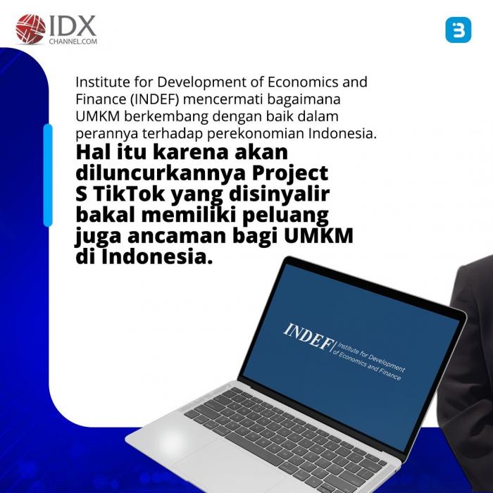 Project S TikTok, Peluang atau Petaka Bagi UMKM RI? (Foto : Tim Digital Marketing IDX Channel)