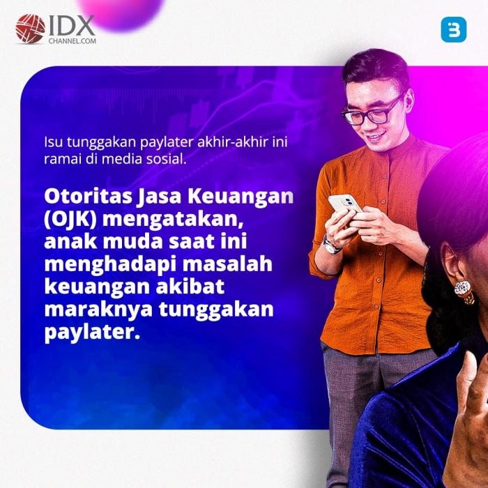 Kartu Kredit vs Paylater:Ini Kelebihan dan Kekurangannya bagi Debitur