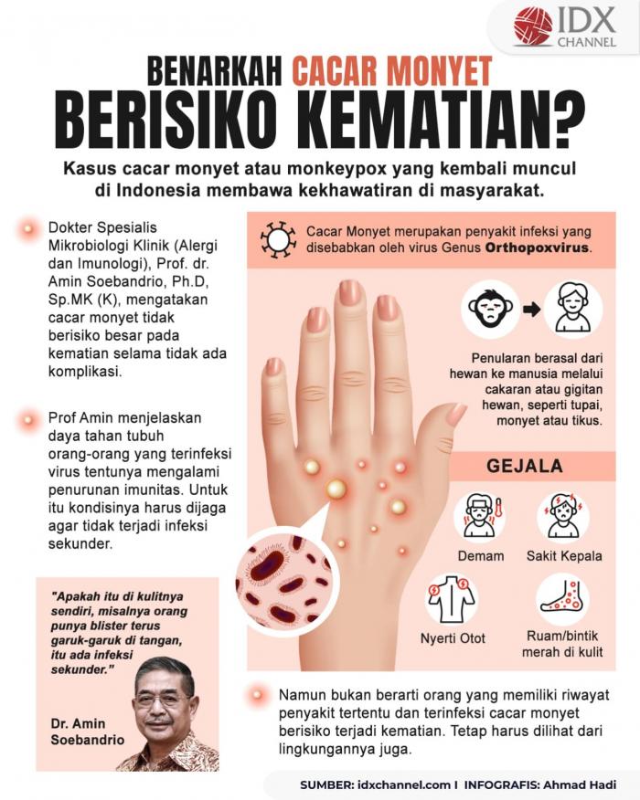 Benarkah Cacar Monyet Berisiko Kematian? Begini Penjelasan Pakar (Foto : Tim Digital Marketing IDX Channel)