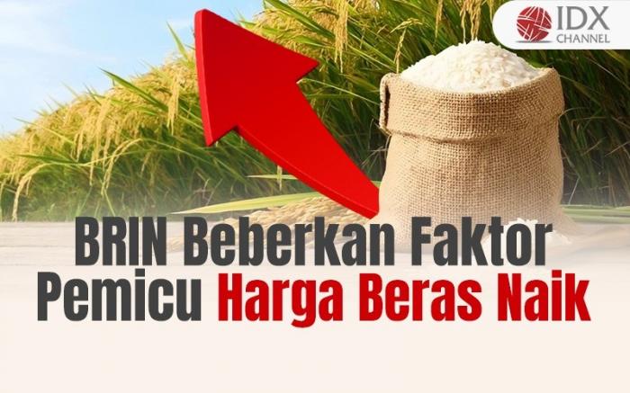BRIN Beberkan Faktor Pemicu Harga Beras Naik di Pasaran (Foto : Tim Digital Marketing IDX Channel)