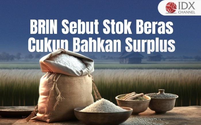 BRIN Sebut Stok Beras Ternyata Cukup Bahkan Surplus, Ini Penjelasan Lengkapnya (Foto : Tim Digital Marketing IDX Channel)