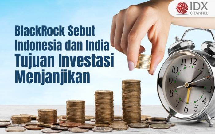 BlackRock Sebut Indonesia dan India Tujuan Investasi Menjanjikan (Foto : Tim Digital Marketing IDX Channel)